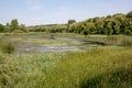 Views of Hungarian naturereserve Kis Balaton