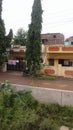 Indian street with highted trees of Ashoka Royalty Free Stock Photo