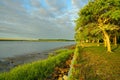 Intercoastal Waterway, South Carolina Royalty Free Stock Photo