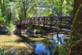 Views of Jordan River Trail Pedestrian and Train Track Bridge with surrounding trees, Russian Olive, cottonwood and muddy stream a