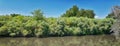 Views of Jordan River Trail with surrounding trees, Russian Olive, cottonwood and silt filled muddy water along the Wasatch Front