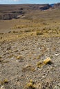 Views of landscape of Andes foothills