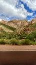 Landscape at Zion National Park