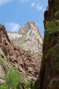 Landscape at Zion National Park