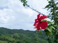 The hills in Borneo Island