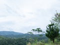 The hills in Borneo Island