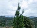 The hills in Borneo Island