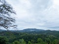 The hills in Borneo Island