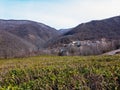 View of the terraces with tea bushes. Royalty Free Stock Photo