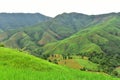 Views of the mountains in Doi Phu Kha national park