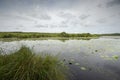 Natural Reserve of the Courant dÃ¢â¬â¢Huchet