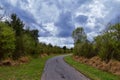 Views of Nature and Pathways along the Shelby Bottoms Greenway and Natural Area Cumberland River frontage trails, bottomland hardw