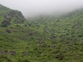 Views of the nature reserve Lomas de Lucumo Royalty Free Stock Photo