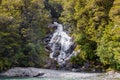Views of New Zealand. Small waterfall among the greenery. Royalty Free Stock Photo