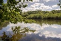 Views of the Ornithological Reserve of Teich