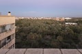 Views of the Palm Grove of Elche