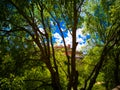 Views from the Retama Park of the Alcala de Guadaira castle in Seville