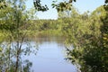 Views of the river Kan between bushes Royalty Free Stock Photo