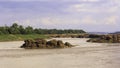 Views River Mekong