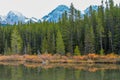 Views from the roadisde on a drive through the park. Spray Valley Provincial Park Royalty Free Stock Photo