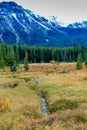 Views from the roadside during a drive through the park. Peter Lougheed Provincial Park Royalty Free Stock Photo