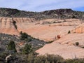 Views of sandstone and lava rock mountains and desert plants around the Red Cliffs National Conservation Area on the Yellow Knolls