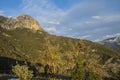 Views on Sequoia and Kings Canyon National Park, California Royalty Free Stock Photo