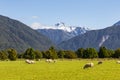 Views of Southern Alps. South Island, New Zealand