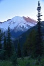 Views From Sunrise: Tahoma; Mount Rainier National Park, Cascade Mountains, Pacific Northwest, Washington State