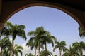 Views of the towering Palm trees from under arch House Royalty Free Stock Photo