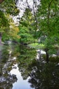 Views of trees and unique nature aspects surrounding New Orleans, including reflecting pools in cemeteries and the Garden District Royalty Free Stock Photo