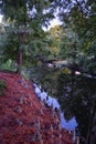 Views of trees and unique nature aspects surrounding New Orleans, including reflecting pools in cemeteries and the Garden District Royalty Free Stock Photo