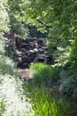 Views of the Virginia Water Lake at Windsor Great Park in Surrey in the UK