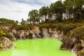 Views of Wai-o-tapu Thermal park. Small bright lake. North island. New Zealand