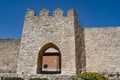 Views of the wall gate of the small medieval-style village UrueÃÂ±a