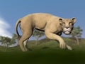 Vigilent lioness - 3D render Royalty Free Stock Photo