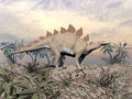 Vigilent stegosaurus Royalty Free Stock Photo