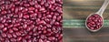 Vigna angularis - Red adzuki bean in wooden spoon Royalty Free Stock Photo