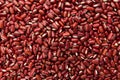 Adzuki Bean legume. Closeup of grains, background use.