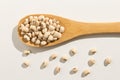 Black Eyed Pea legume. Healthy grains on a wooden spoon. White b Royalty Free Stock Photo