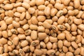 Cowpea legume. Closeup of grains, background use.