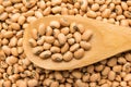 Cowpea legume. Grains in wooden spoon. Close up.