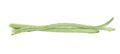 Vigna unguiculata sesquipedalis