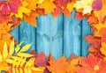 Vignette of Autumn leaves. Royalty Free Stock Photo