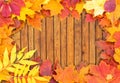 Vignette of Autumn leaves on wood. Royalty Free Stock Photo