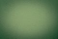 Dark Green Snake Skin Texture