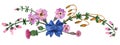 Vignette from wild plants of Scotland with blue silk bow-knot Royalty Free Stock Photo