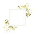 Vignette with wildflowers on a white background. Wild herbs, tansy, chamomile.