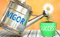 Vigor helps achieving success - pictured as word Vigor on a watering can to symbolize that Vigor makes success grow and it is
