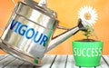 Vigour helps achieving success - pictured as word Vigour on a watering can to symbolize that Vigour makes success grow and it is